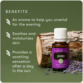 Lavender Essential Oil